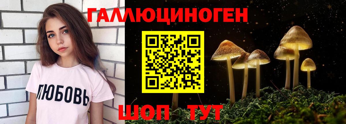 Галлюциногенные грибы прущие грибы Новороссийск