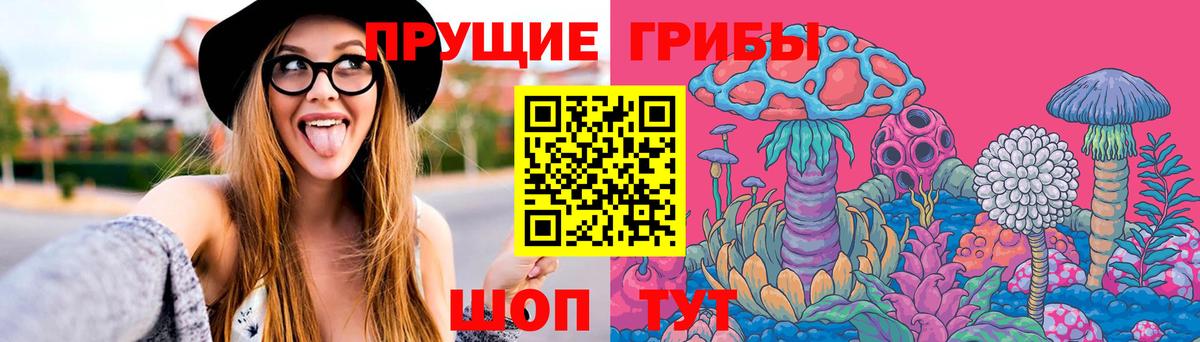 Галлюциногенные грибы Psilocybine cubensis  Вход с VPN  Новороссийск 