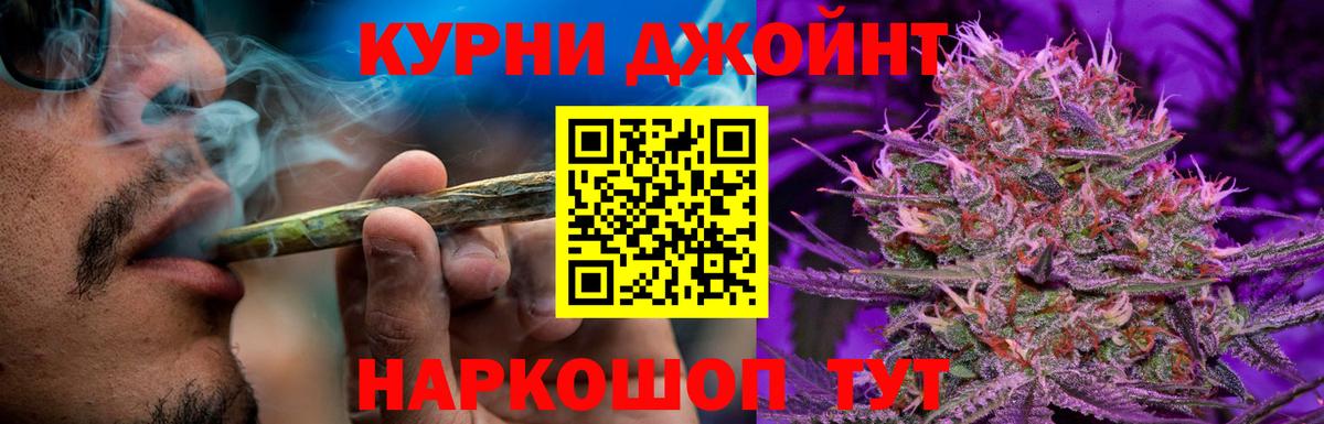Новороссийск  МАРИХУАНА тримм  Вход с VPN  МАРИХУАНА MAZAR 